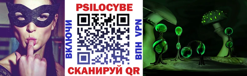 Купить где Межгорье Псилоцибиновые грибы мицелий